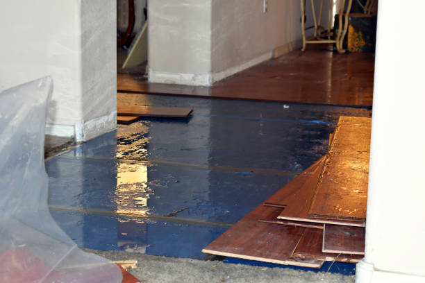 Professional Water Damage Restoration technician working in Kernville, CA